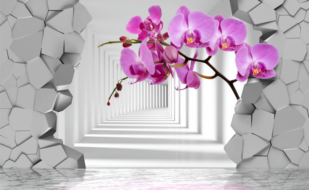 Fototapeta gałąź orchidei rozbija ścianę