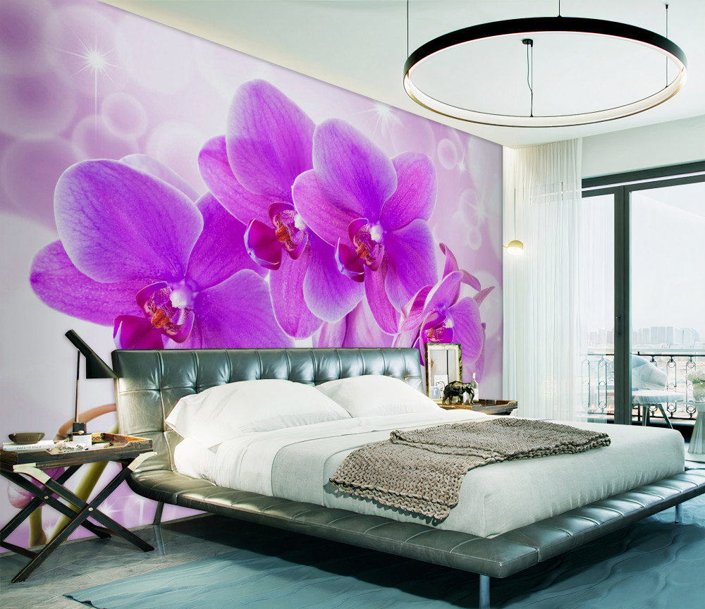 Fototapeta bardzo piękna miękka miękka orchidea