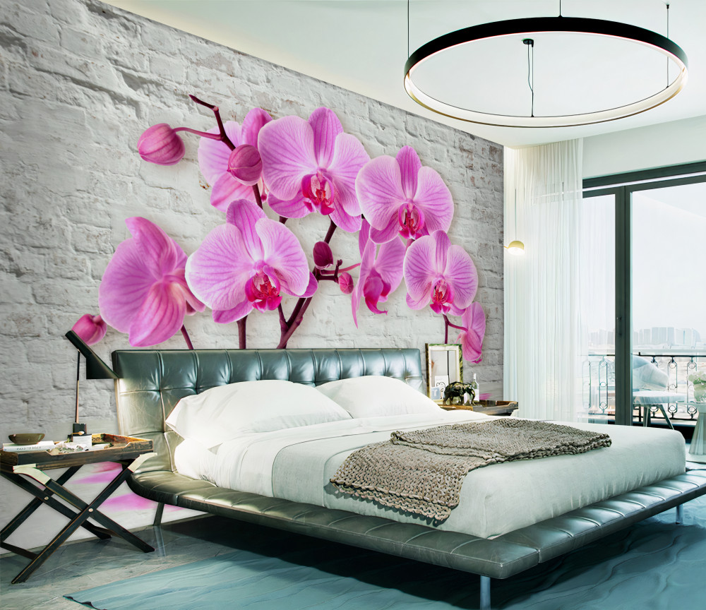 Fototapeta miękkie liliowe orchidee