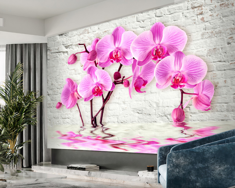 Fototapeta miękkie liliowe orchidee