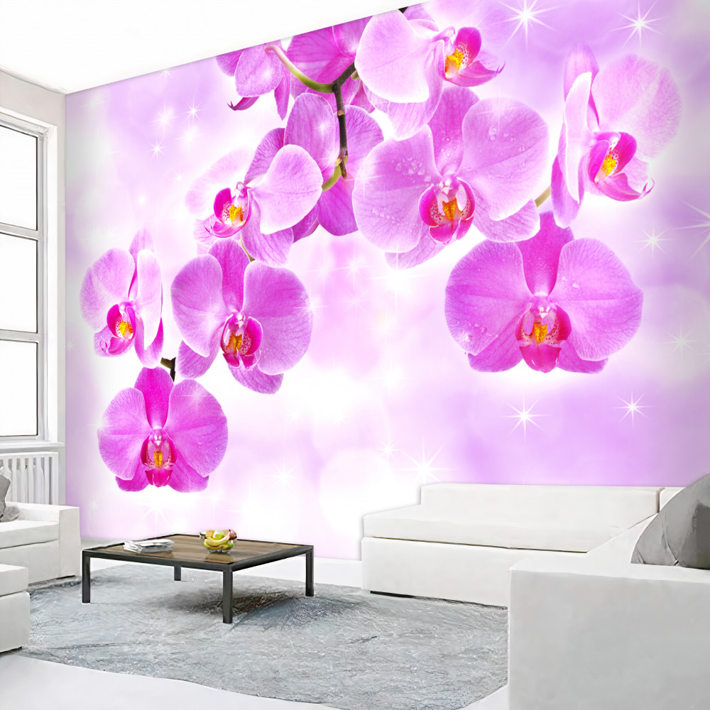 Fototapeta wiszące fioletowe orchidee