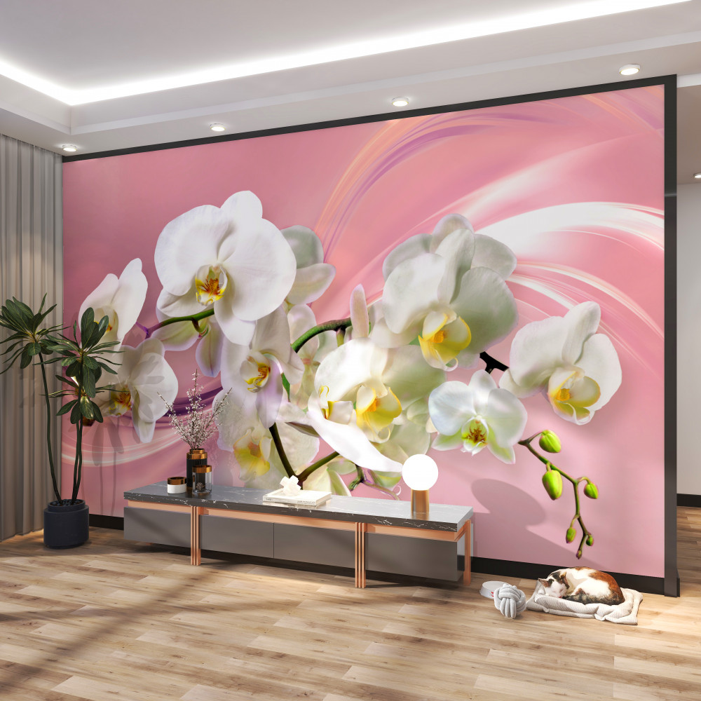 Fototapeta duże białe orchidee na różowym tle