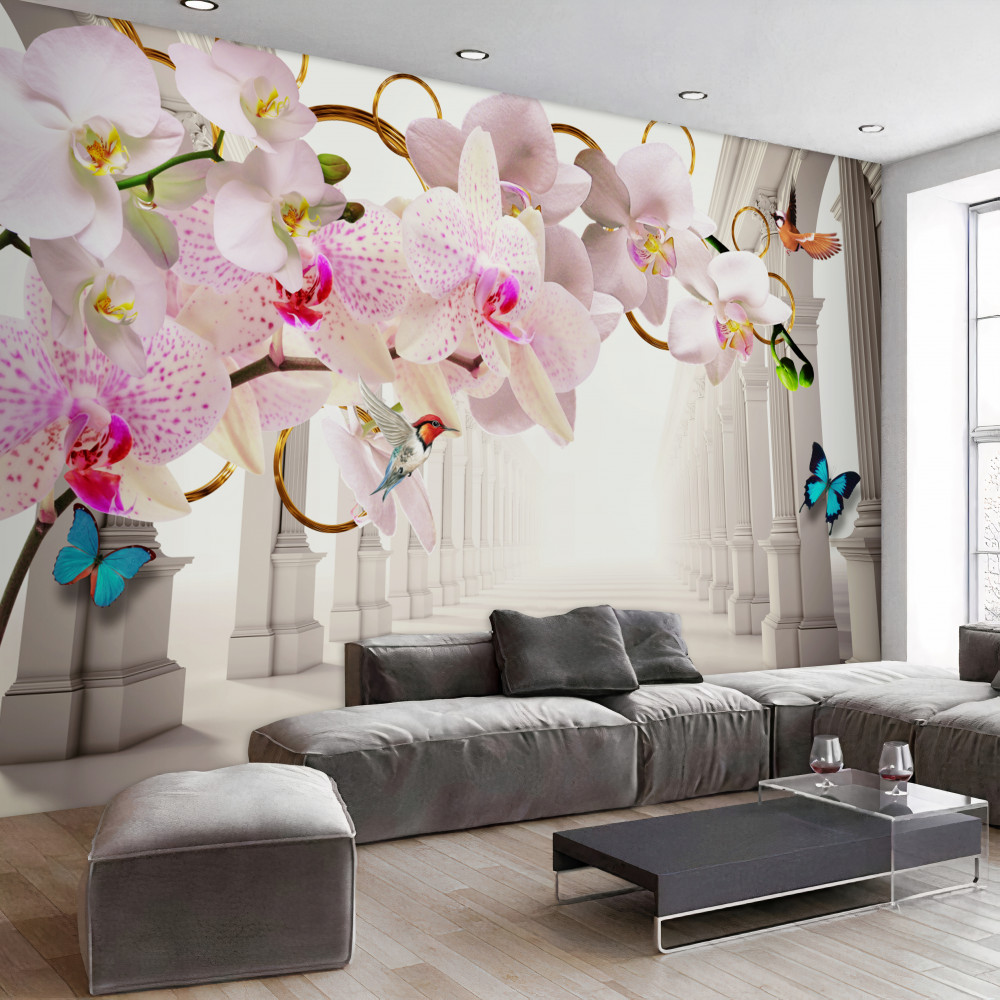 Fototapeta orchidee i motyle na tle białych łuków