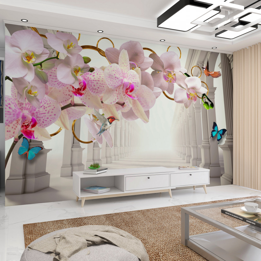 Fototapeta orchidee i motyle na tle białych łuków