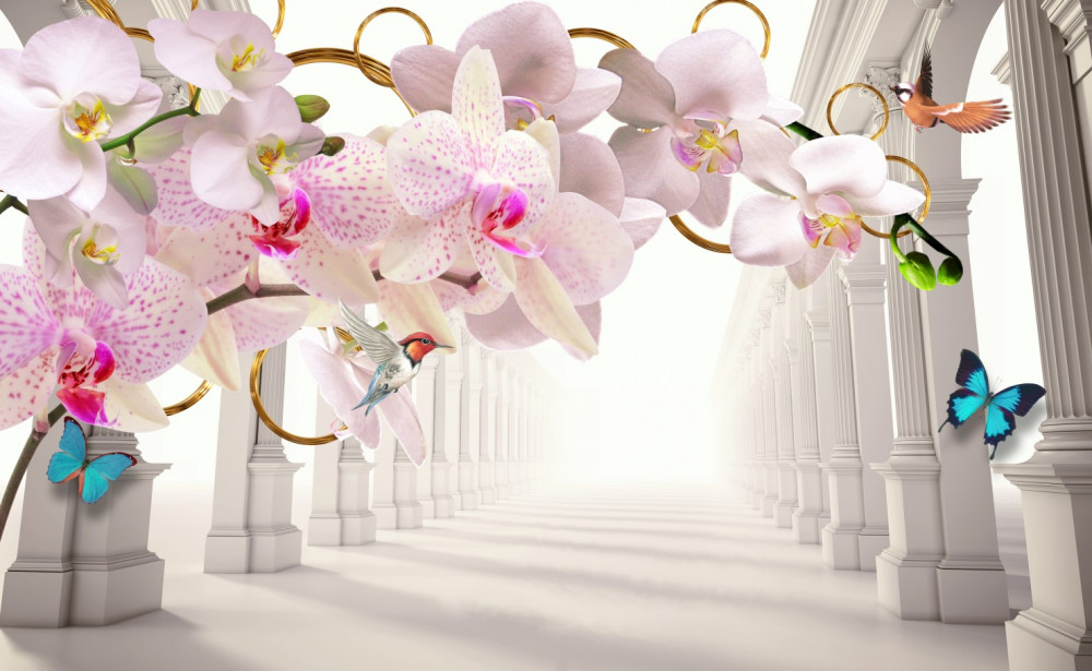 Fototapeta orchidee i motyle na tle białych łuków