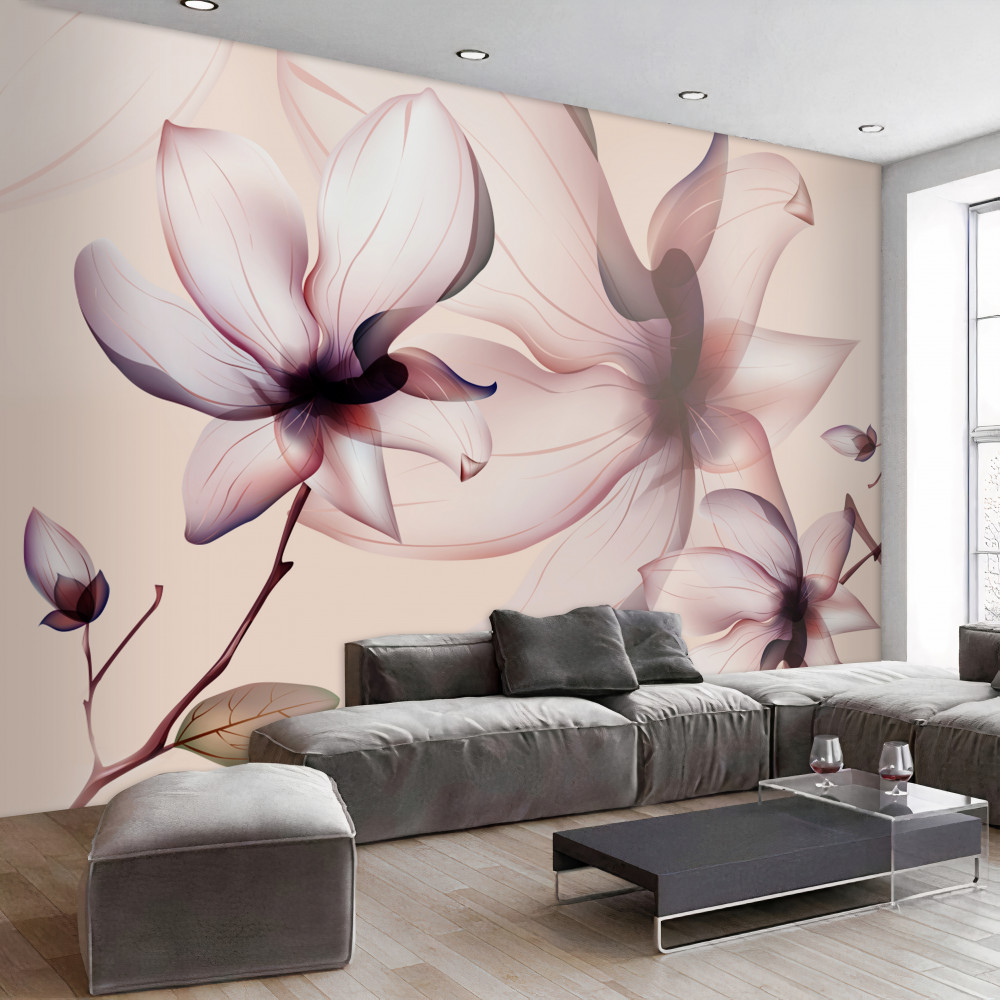 Fototapeta magnolie na jasnym tle