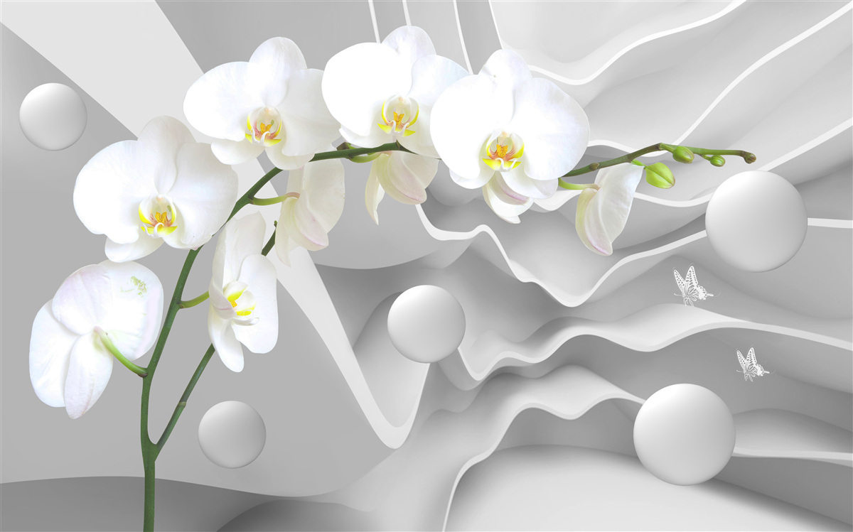 Fototapeta Rama z białej orchidei