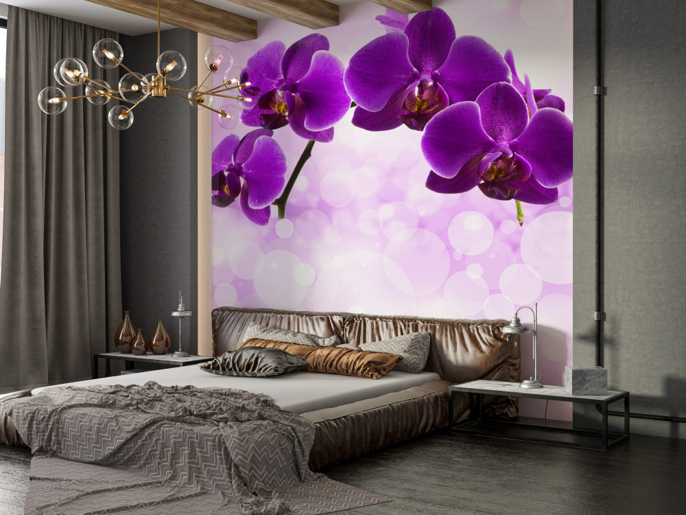 Fototapeta ciemnofioletowe kwiaty orchidei