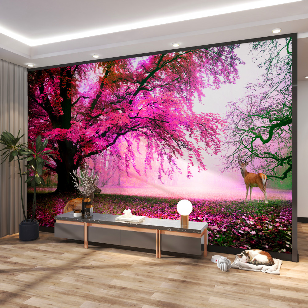 Fototapeta różowe kwiaty sakura pica