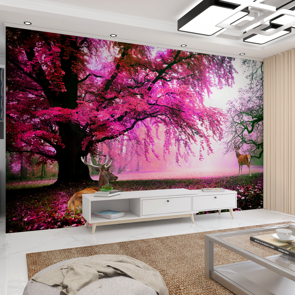 Fototapeta różowe kwiaty sakura pica