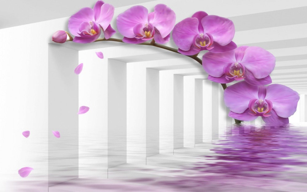 Fototapeta liliowa ramka z orchidei w białych łukach