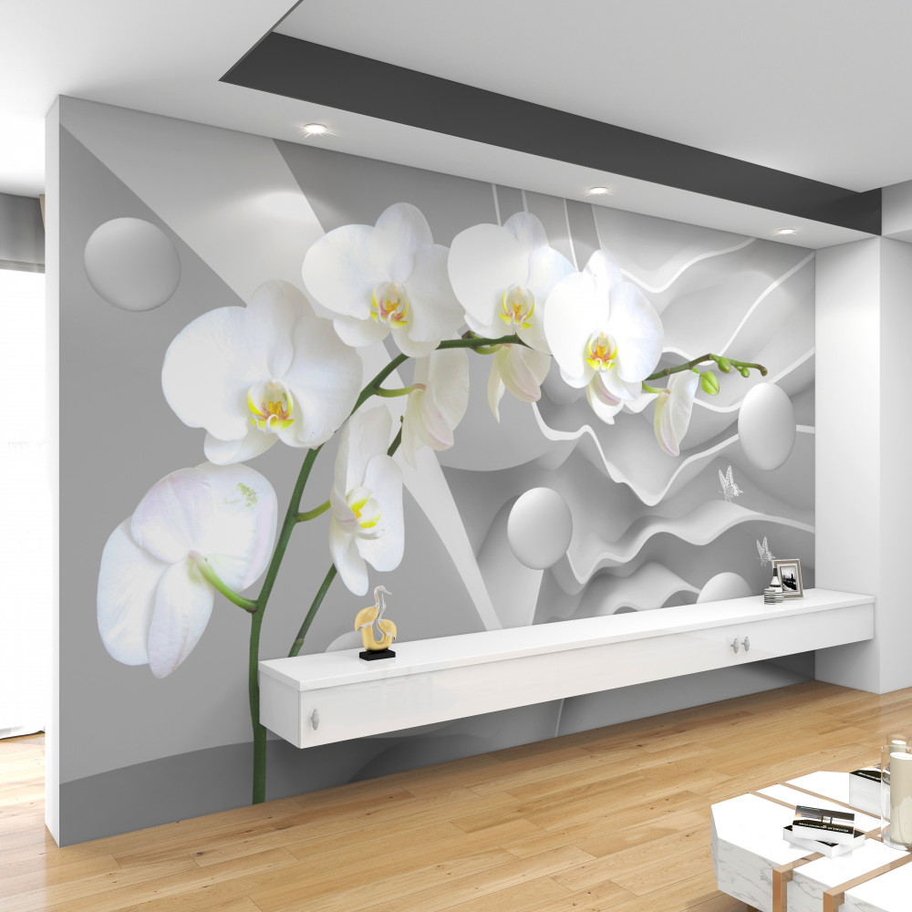 Fototapeta biała orchidea na szarym tle
