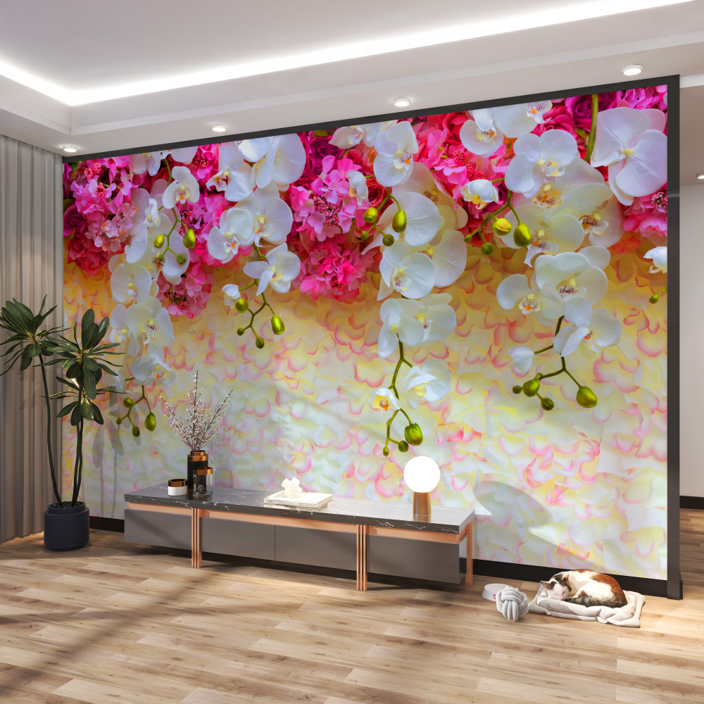 Fototapeta wieszanie białych orchidei z różowymi