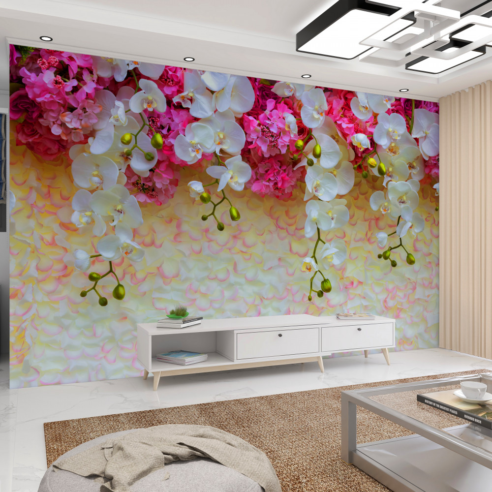 Fototapeta wieszanie białych orchidei z różowymi