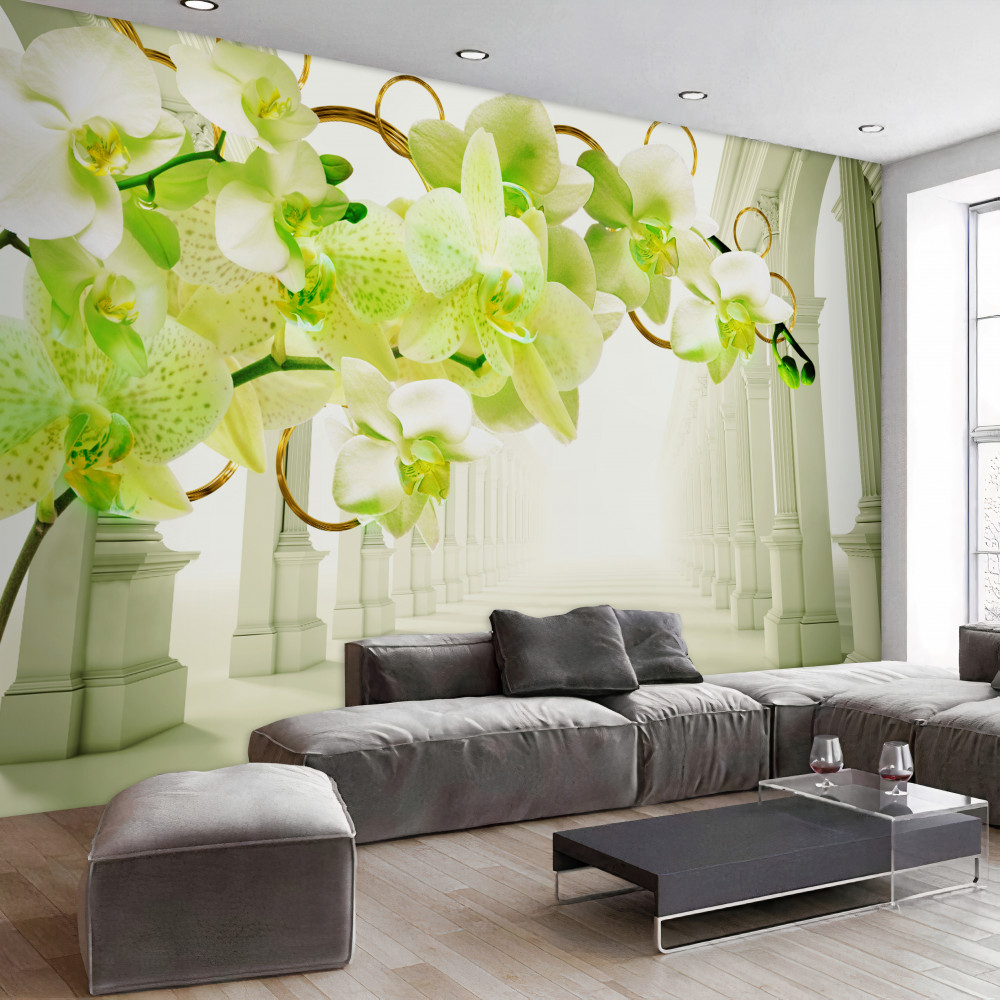 Fototapeta biało-zielone orchidee na tle białych kolumn