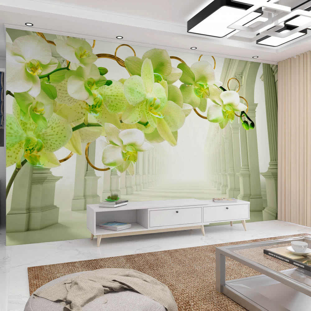 Fototapeta biało-zielone orchidee na tle białych kolumn