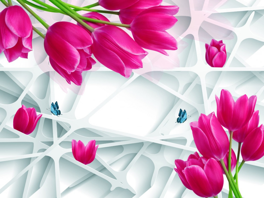 Fototapeta luksusowe różowe tulipany w pąku