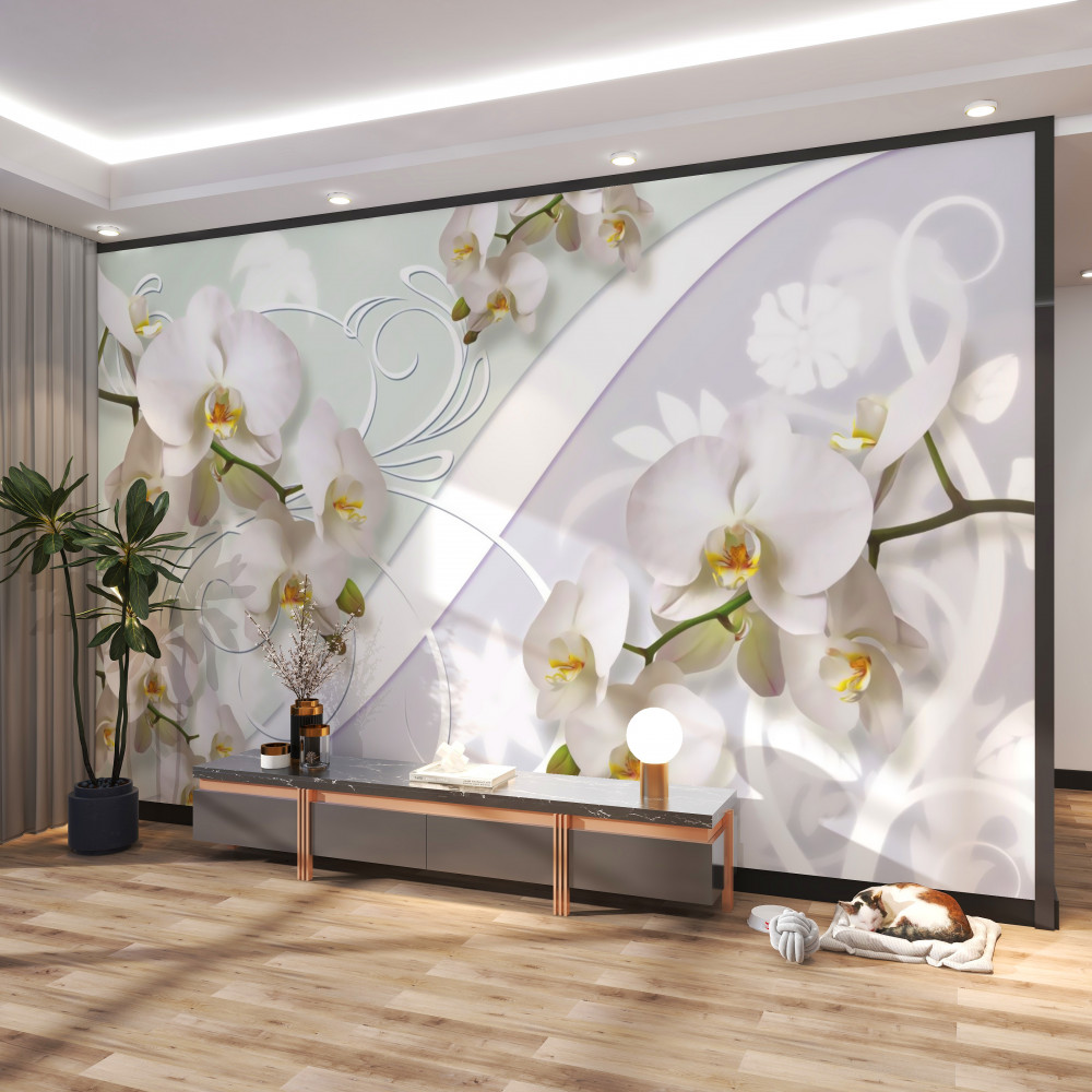 Fototapeta gałęzie białych orchidei na białym tle