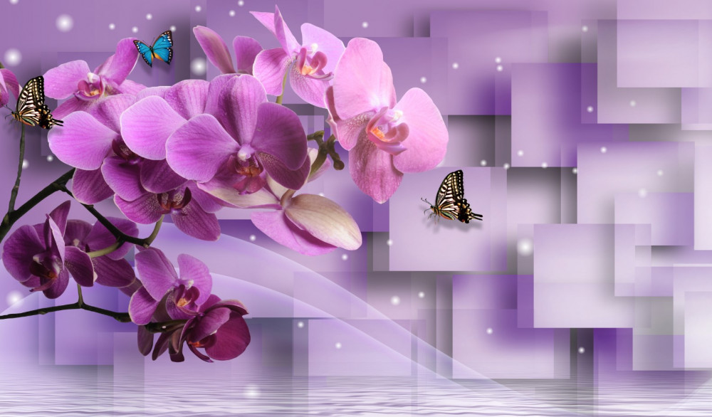 Fototapeta bukiet orchidei i delikatnych motyli