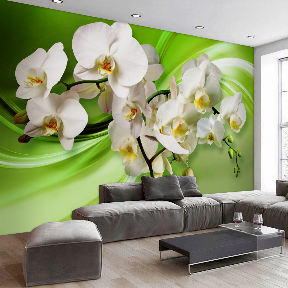 Fototapeta biała orchidea na zielonym tle