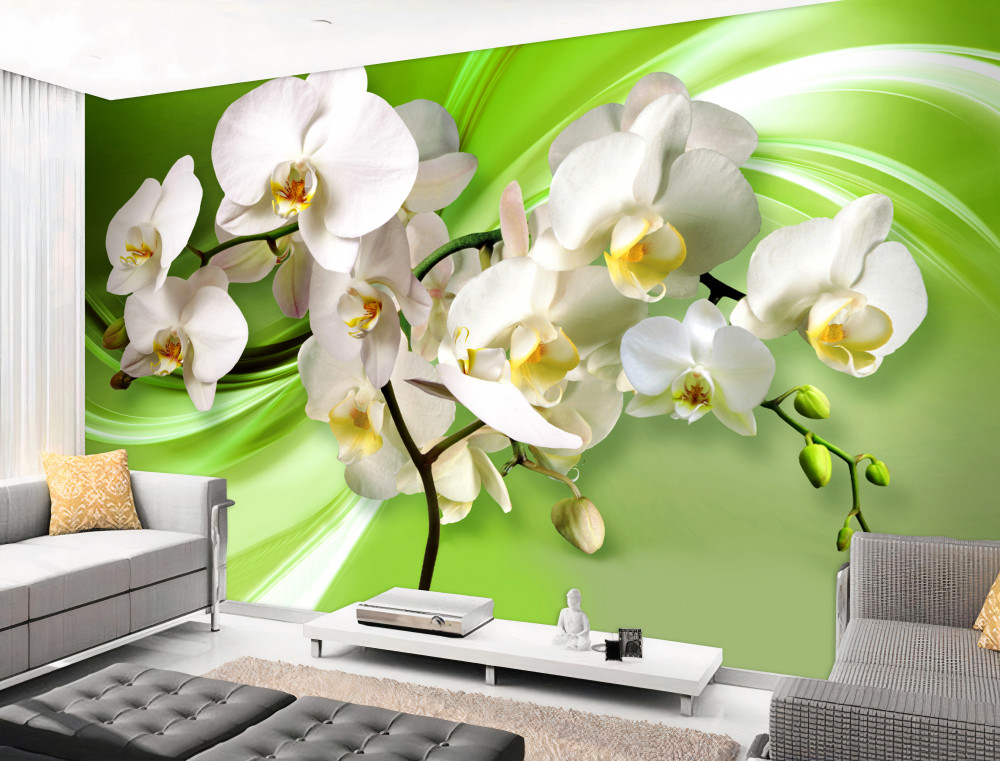 Fototapeta biała orchidea na zielonym tle