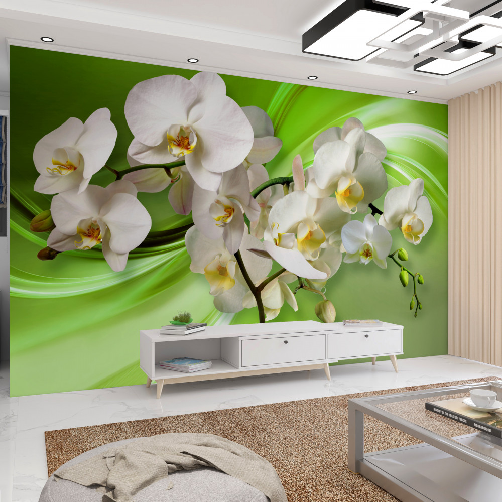 Fototapeta biała orchidea na zielonym tle