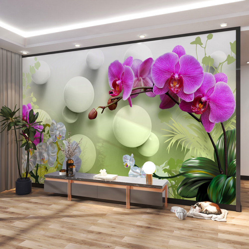 Fototapeta liliowe i białe orchidee