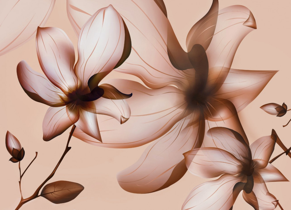 Fototapeta magnolie na różowym tle