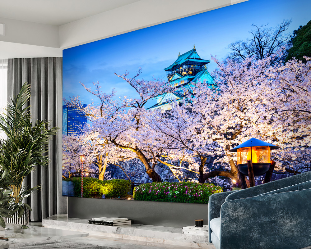 Fototapeta sakura kwitnie wieczorem