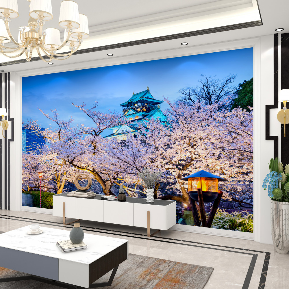 Fototapeta sakura kwitnie wieczorem