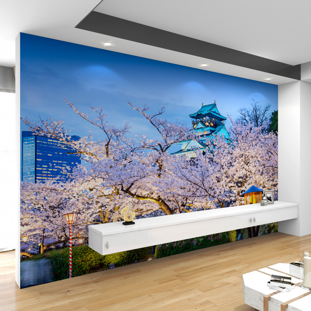 Fototapeta sakura kwitnie wieczorem