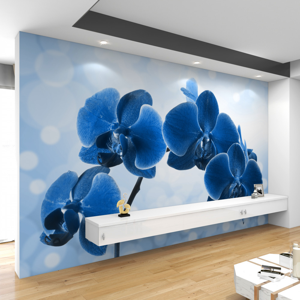 Fototapeta ciemnoniebieskie kwiaty orchidei