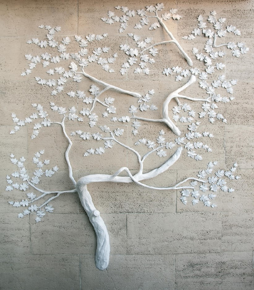 Fototapeta kwitnące drzewo sakura