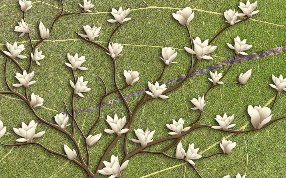 Fototapeta białe gałęzie magnolii na zielonym tle