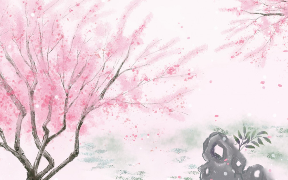 Fototapeta różowa sakura w pobliżu wody