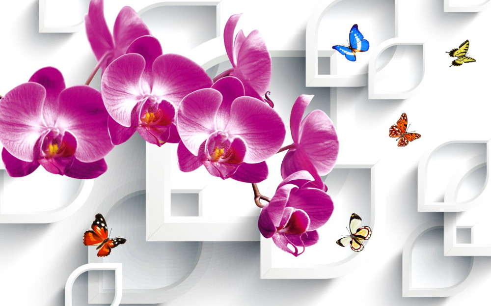 Fototapeta motyle na liliowej orchidei