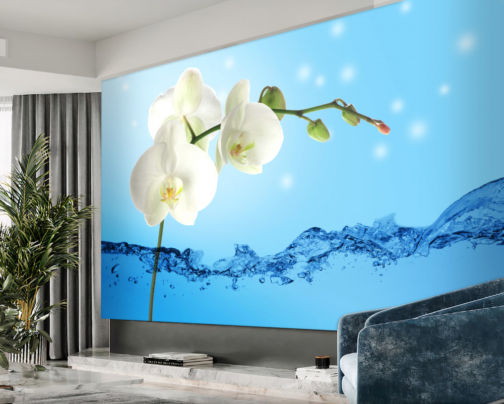 Fototapeta gałąź białej orchidei w wodzie