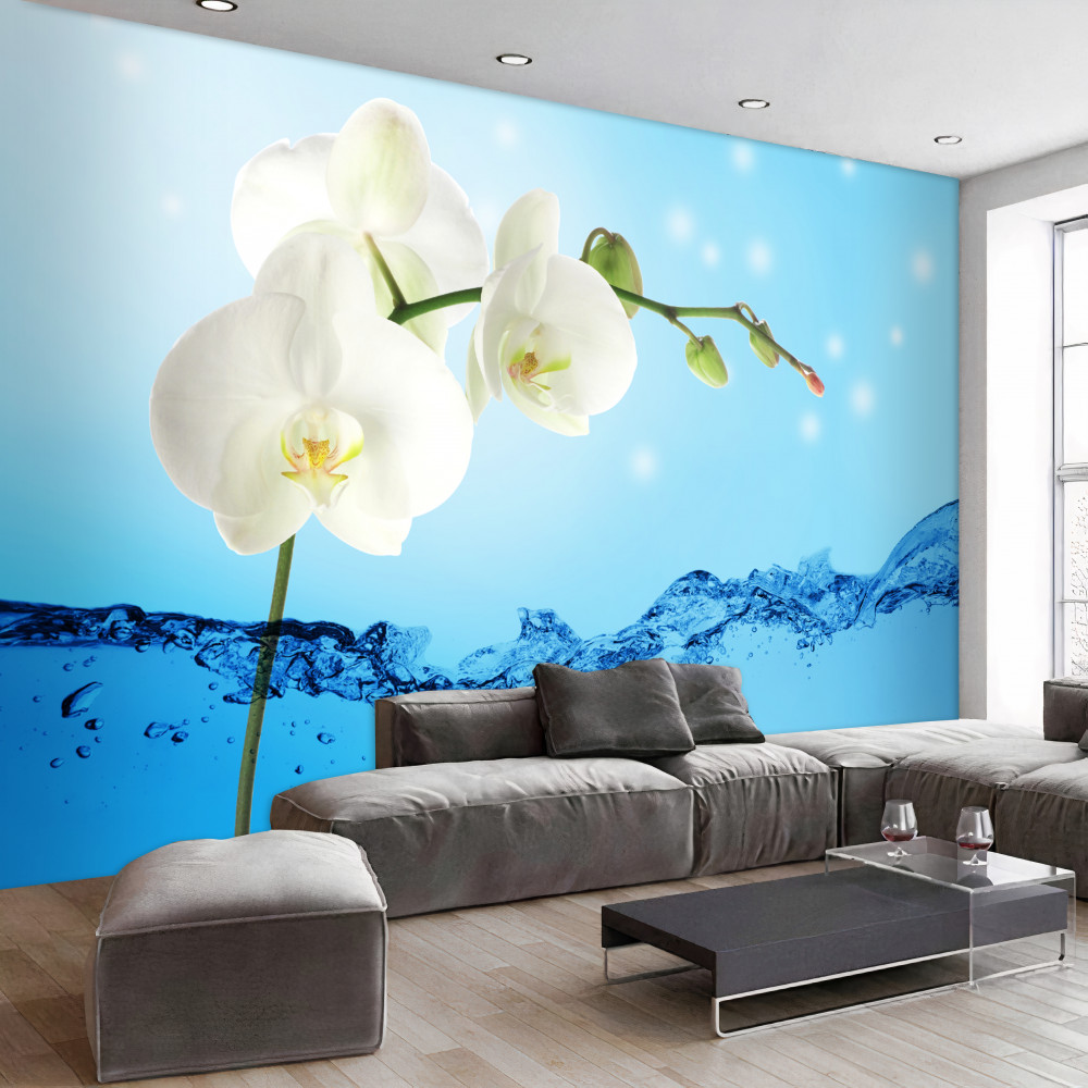 Fototapeta gałąź białej orchidei w wodzie