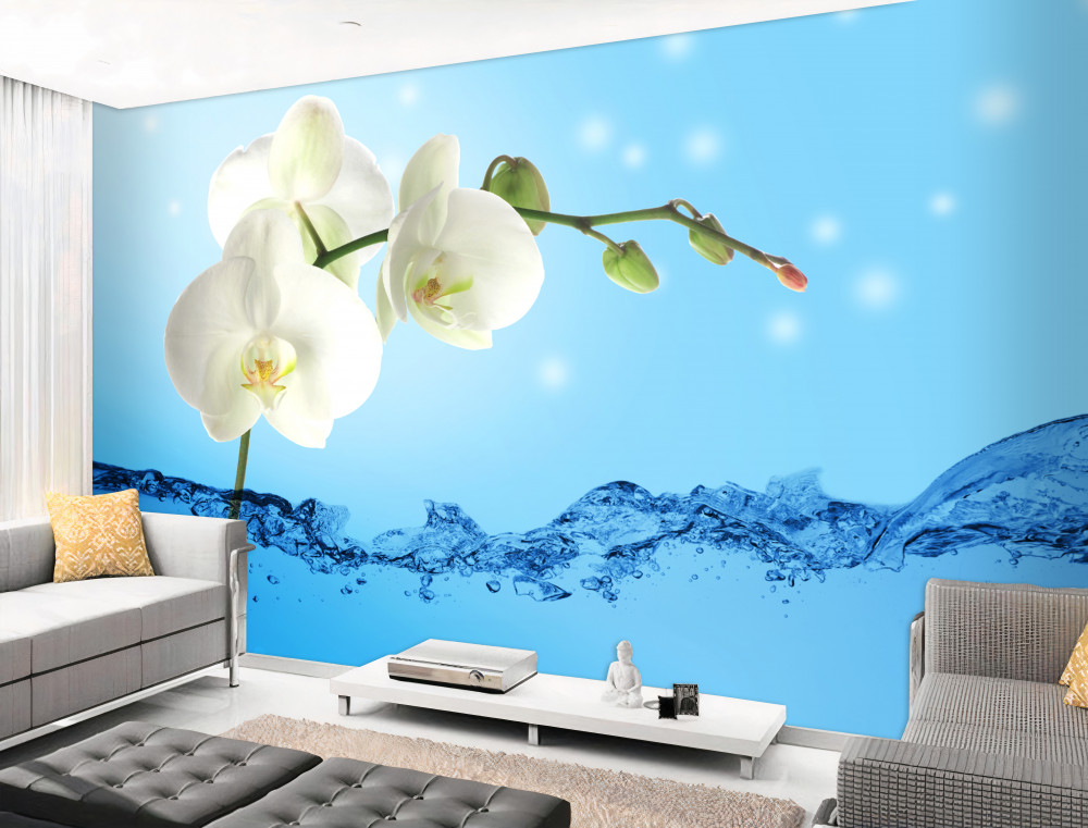 Fototapeta gałąź białej orchidei w wodzie