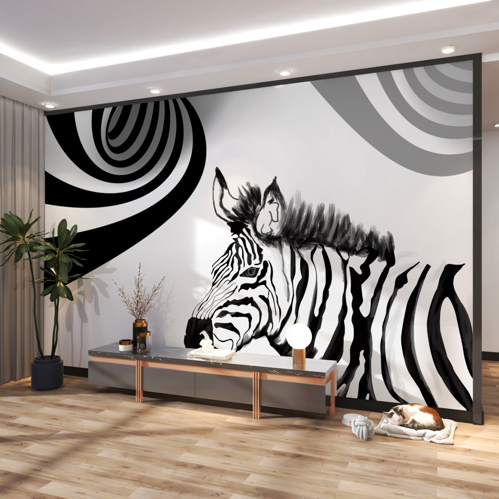 Fototapeta oczekująca zebra czarno-biała