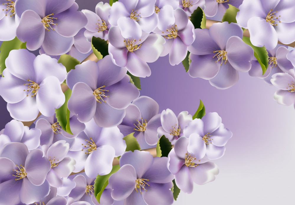 Fototapeta liliowe kolory delikatnej orchidei