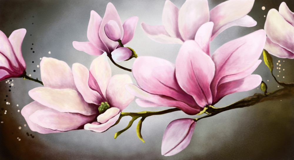 Fototapeta delikatne kwiaty magnolii