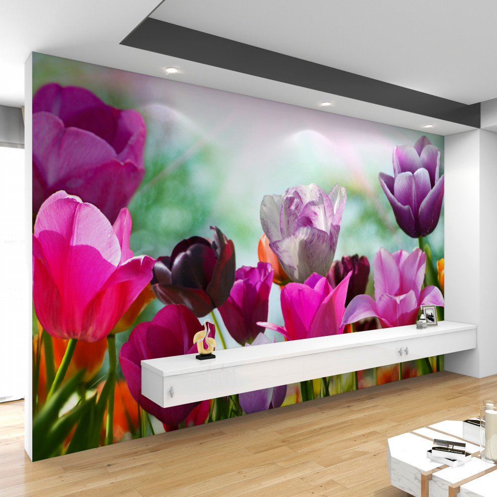 Fototapeta kolorowe tulipany