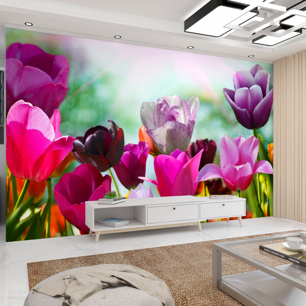 Fototapeta kolorowe tulipany