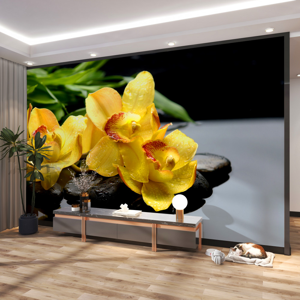 Fototapeta delikatny bukiet żółtych orchidei