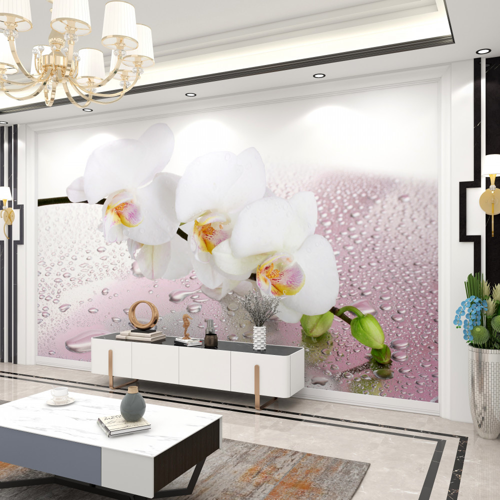 Fototapeta gałąź białej orchidei w kroplach wody