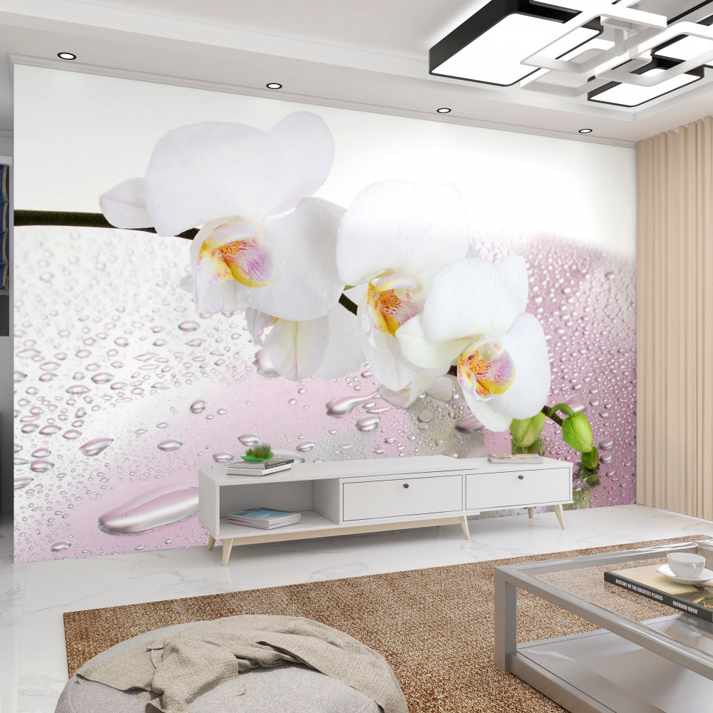 Fototapeta gałąź białej orchidei w kroplach wody
