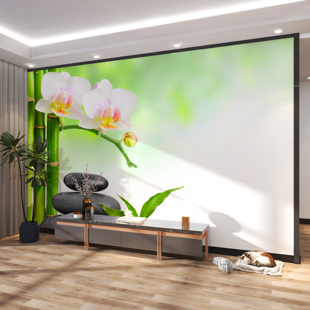 Fototapeta kamienie bambusowe i biała orchidea