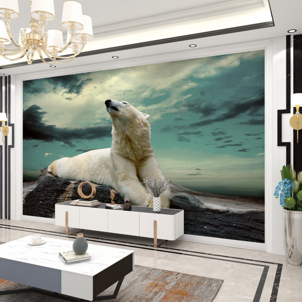 Fototapeta niedźwiedź polarny odpoczywa na kamieniu