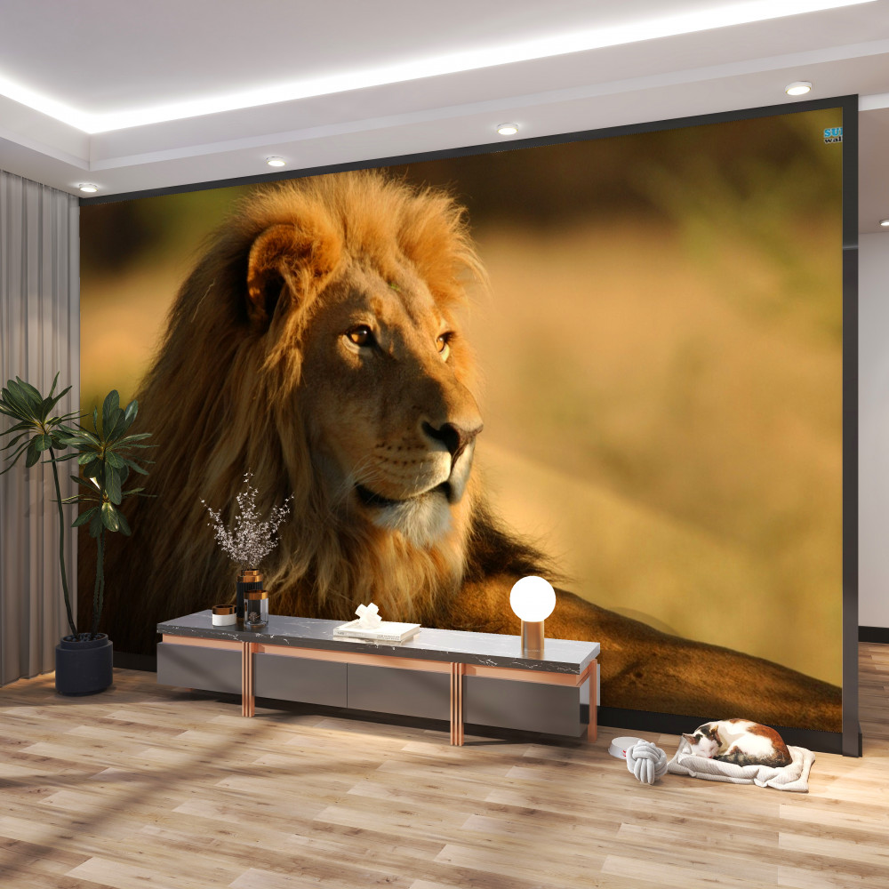 Fototapeta król lew na wakacjach